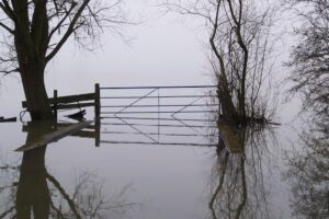 NAMIC urges subsidy reform in National Flood Insurance Program