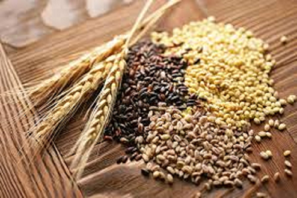 INTERNATIONAL AG INSURANCE SOLUTIONS: Corn, Soybean Futures Shoot Higher; Prospects For a Long-term Rally