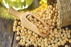 INTERNATIONAL AG INSURANCE SOLUTIONS: Corn, Soybeans Futures Start Holiday-shortened Trading Week Higher